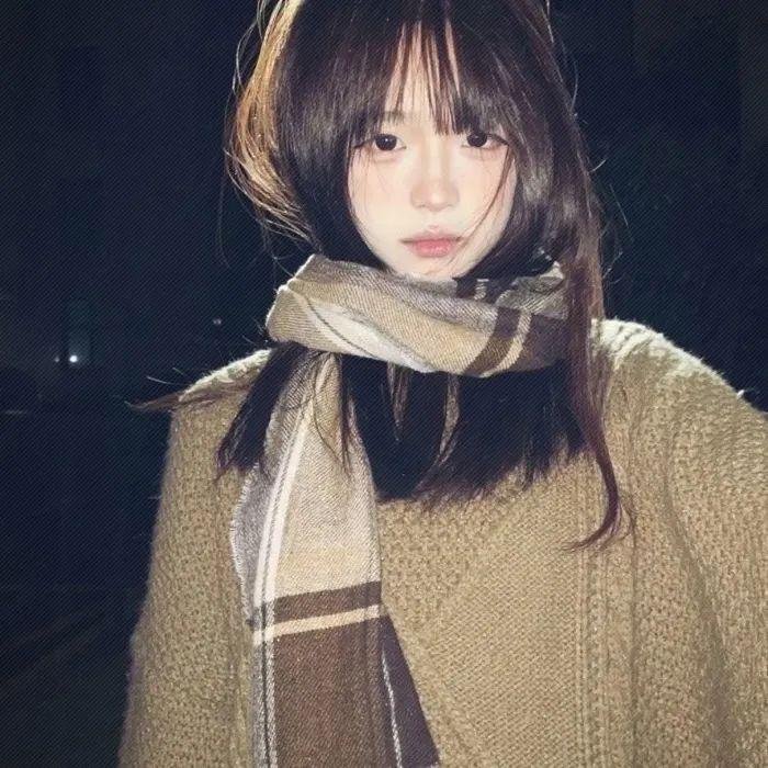 像恶魔的女人 封面